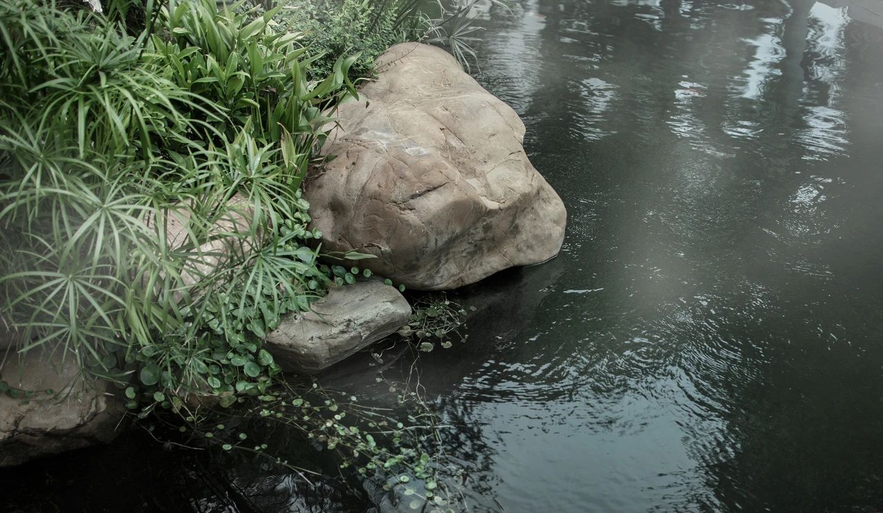 广东2000㎡花园别墅丨中国广东丨深圳太合南方设计-15