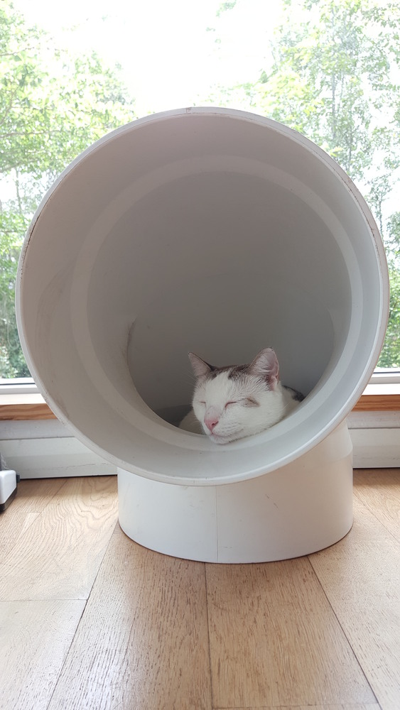 38Mews House  Design Collective Architects-30