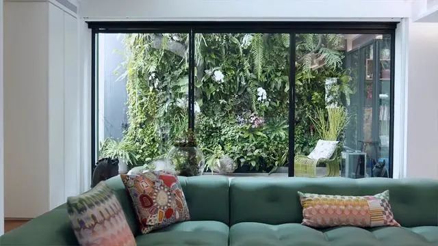 梦想退休生活 | 五个姐妹的丽江抱团养老房-113