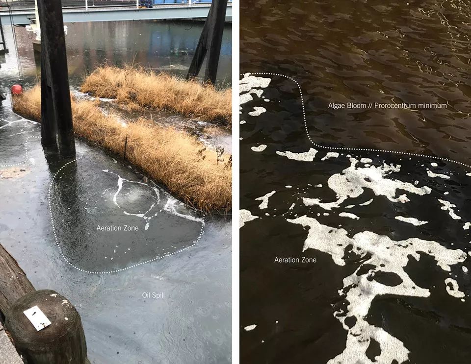 2018ASLA 研究奖得主 | 巴尔的摩漂浮湿地改善水质，促进生物多样性-33