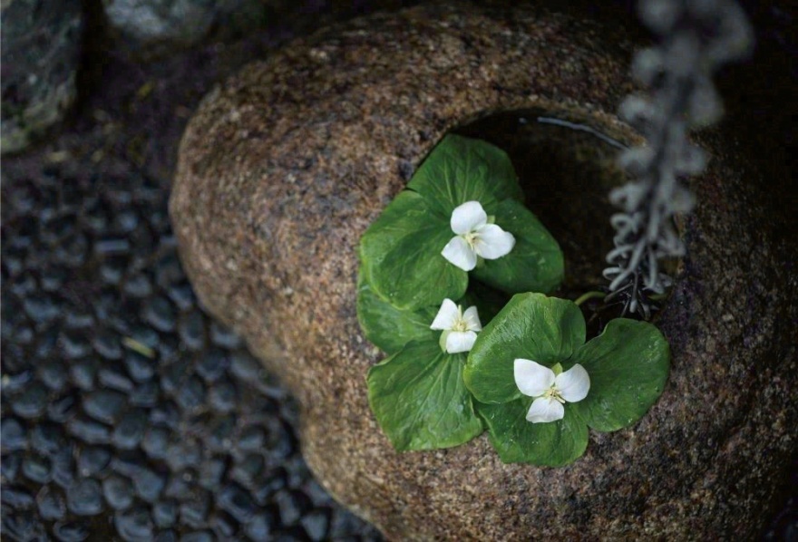 一乘寺,奈良总公司丨日本奈良丨Hitotomori 建筑设计事务所-105
