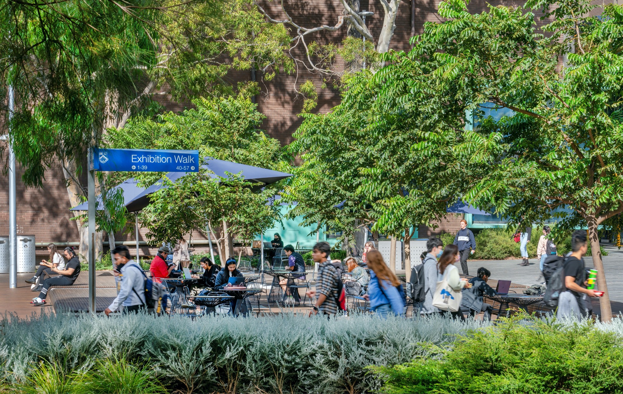 Monash 大学论坛景观设计丨澳大利亚丨TCL+Peter Elliot Architecture-10