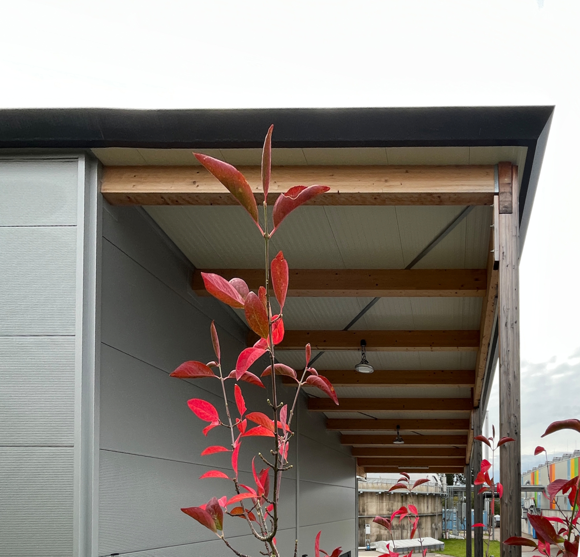 木结构建筑工棚（含车间和仓库）新建项目-29