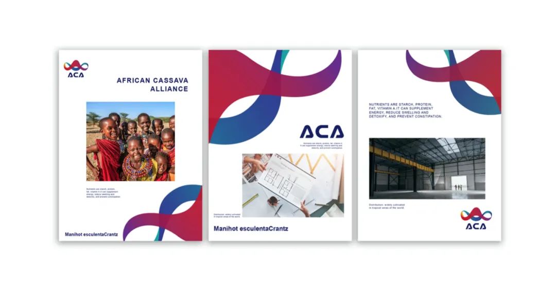 【非洲木薯联盟ACA】视觉形象设计-36