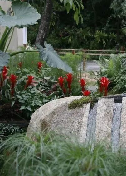 仲夏夜之梦 · 莎士比亚灵感的花园设计丨中国深圳丨Sarah Eberle(英国)-53