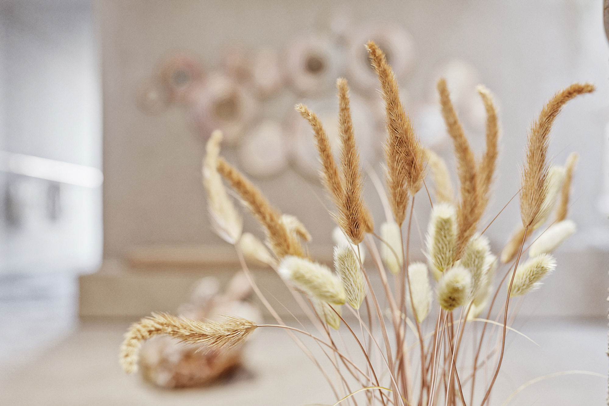 丨Cape VerdePaul丨Entre Terras-24