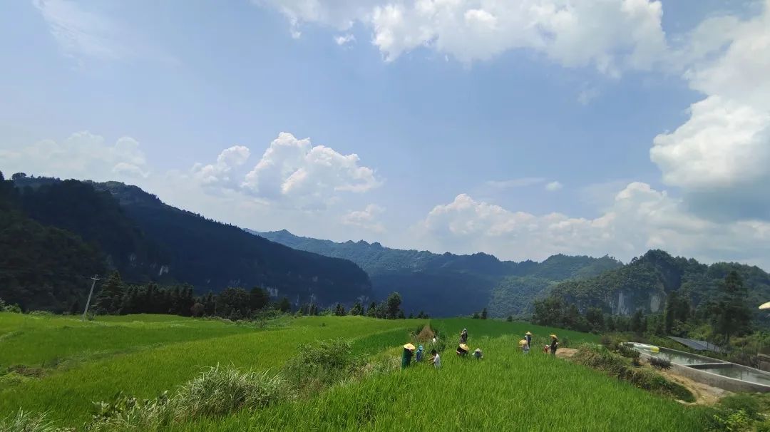 野奢秘境，探寻春日浪漫-198