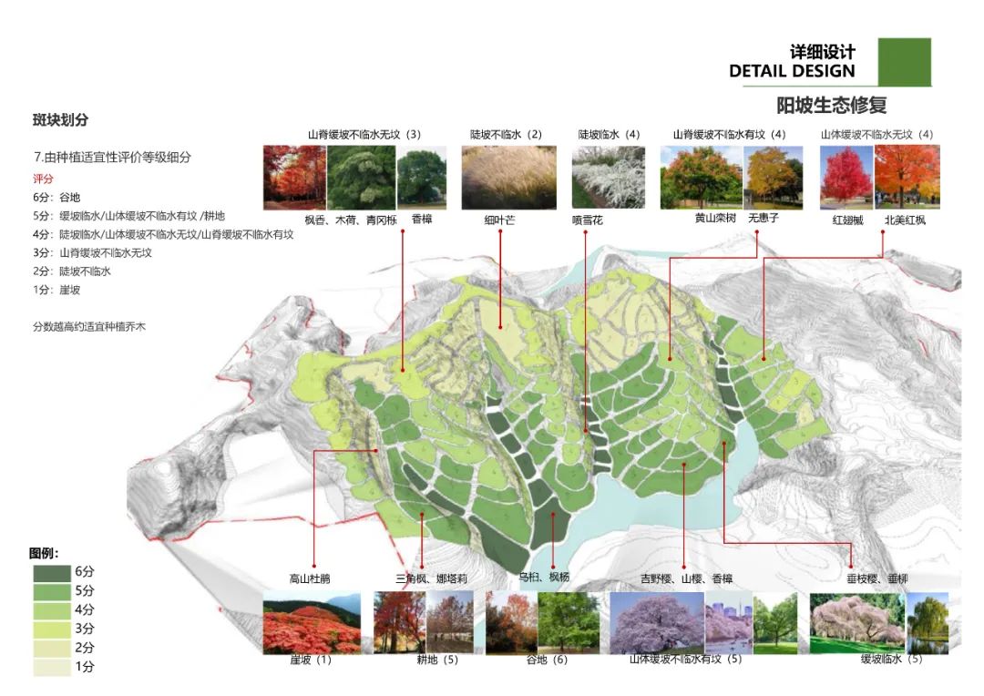 景德镇凤凰山山地运动营地丨中国景德镇丨清华大学建筑设计研究院-24
