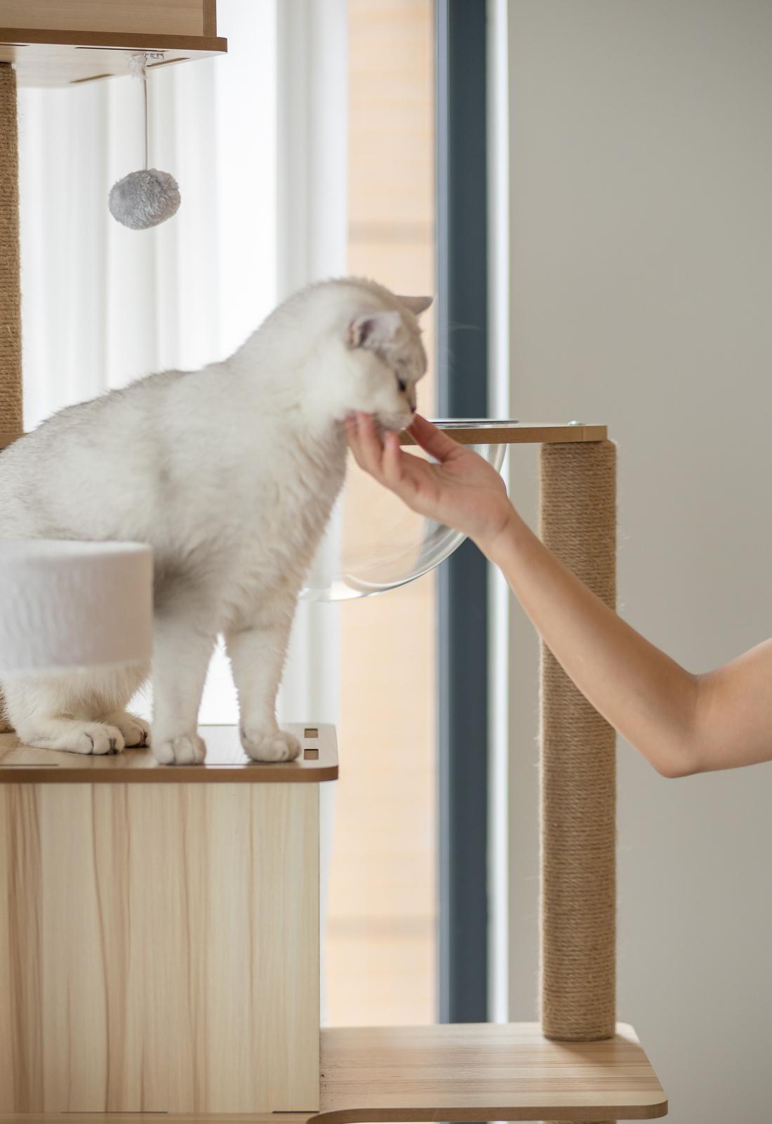 现代简约复式案例-18