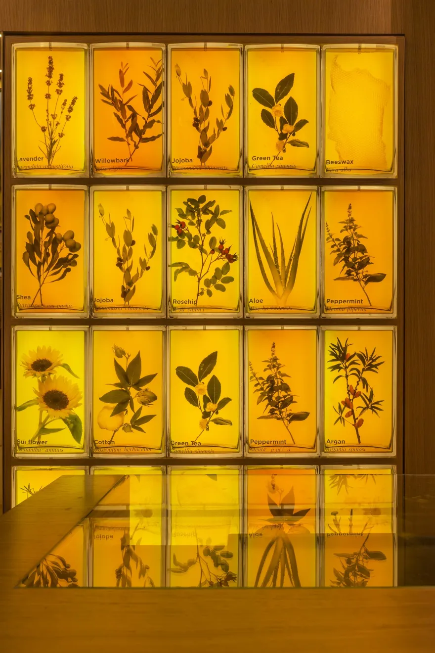 香港 Burt's Bees 旗舰店-19