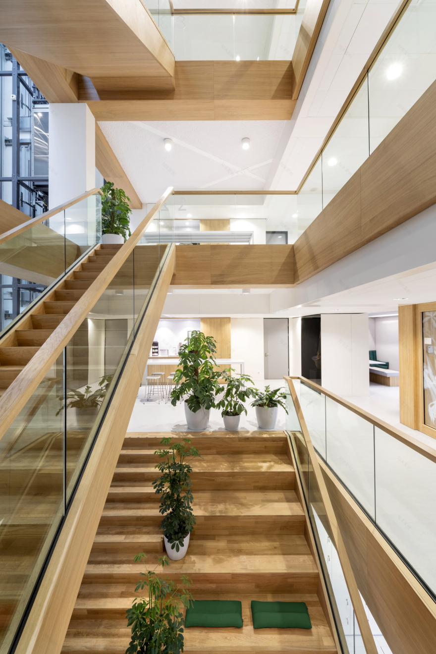 Naturalis Biodiversity Center / Hollandse Nieuwe-13