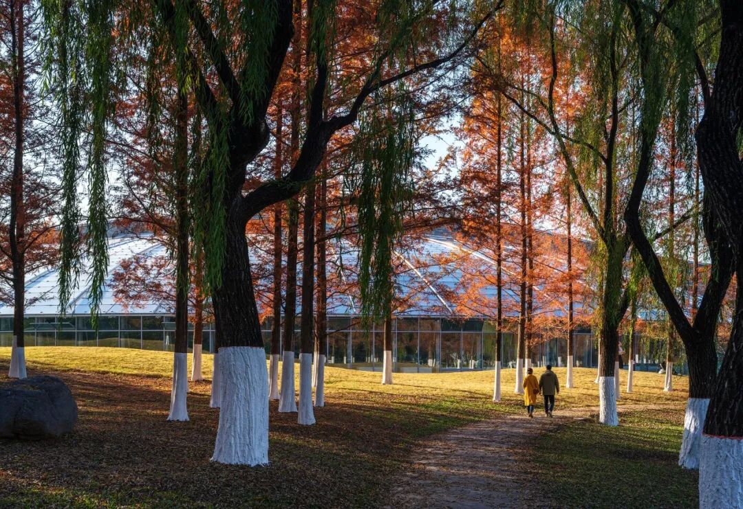 济南植物园科普馆丨中国济南丨中国建筑设计研究院-2