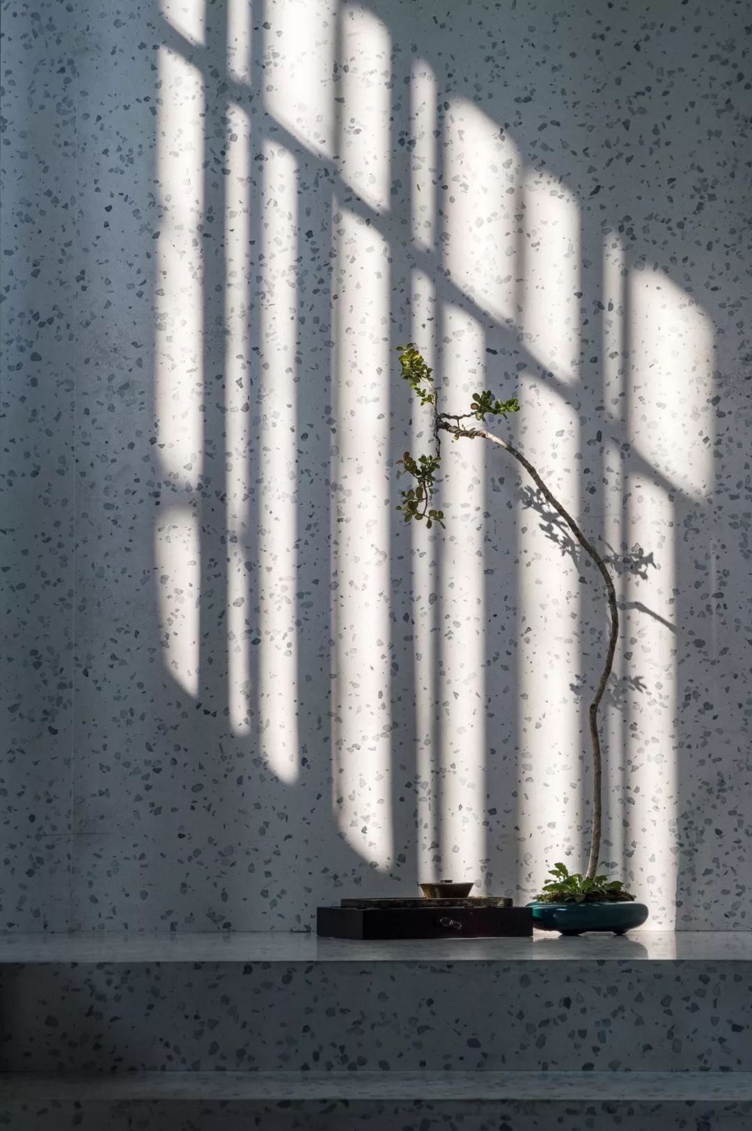 上海廷泰茶空间  Alex Mok - Briar Hickling-36