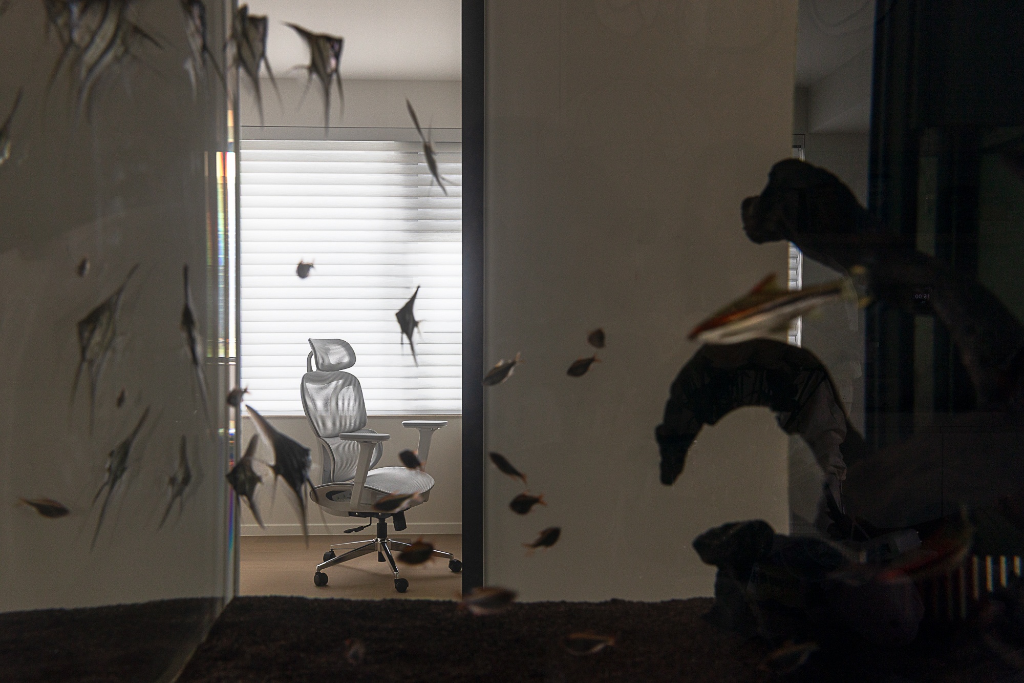 140㎡阳光容器 把光揉进每个平方的极简主义丨中国杭州丨SJD春茉空间设计-47