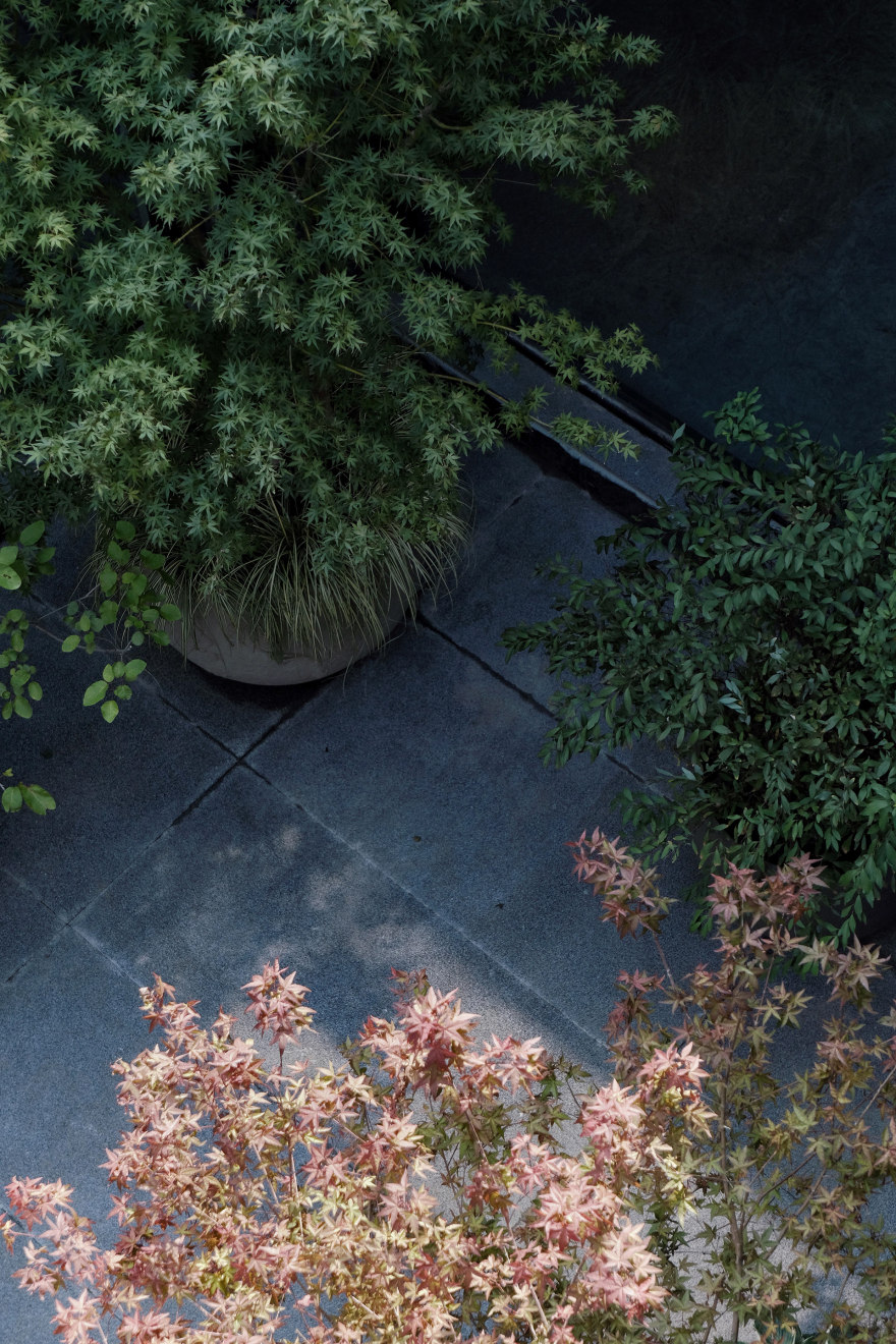 Urbanroots地下室花园丨中国北京丨Diff architecture studio-39