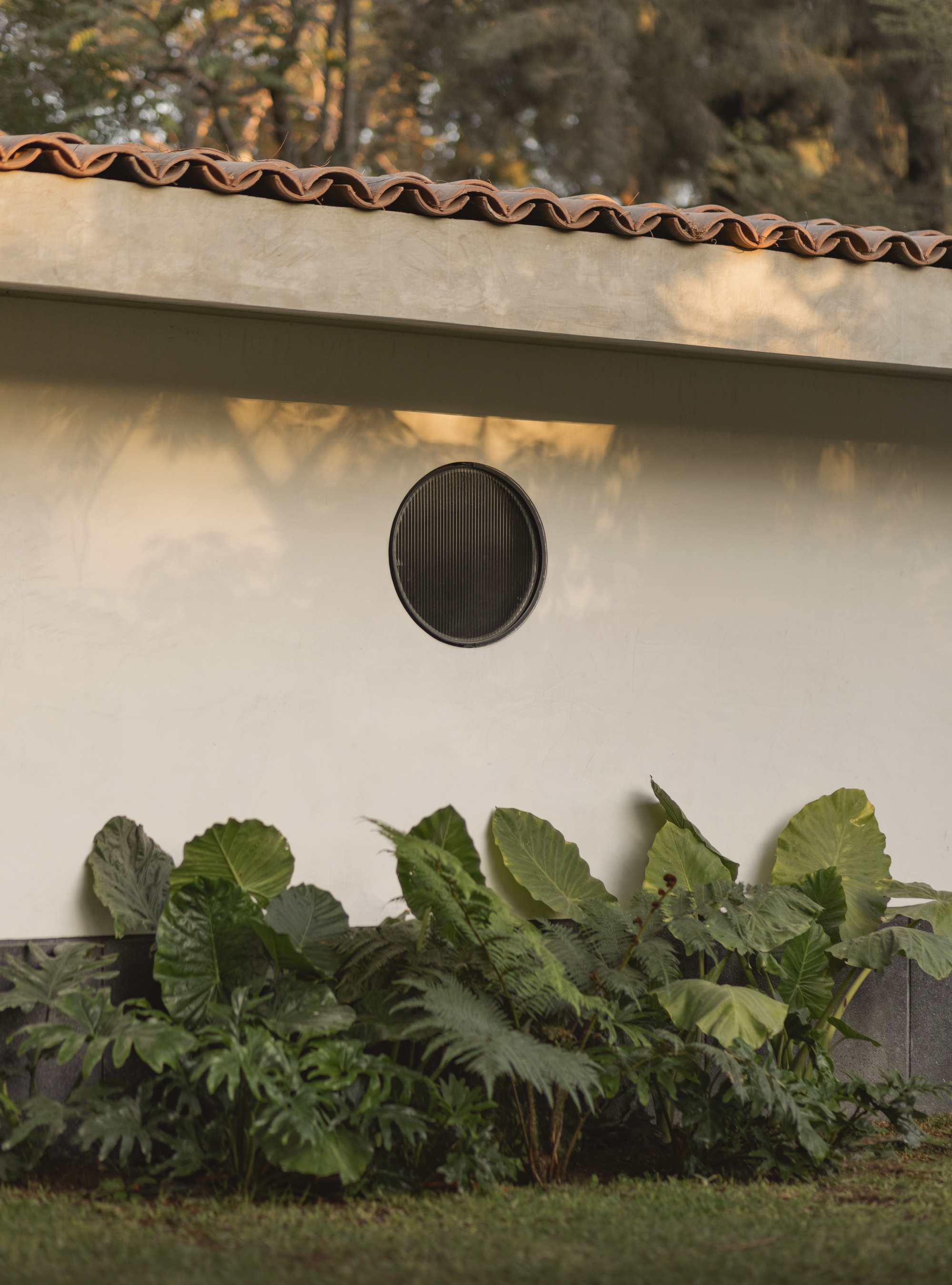 丨墨西哥墨西哥城丨Estudio Radillo Alba-18