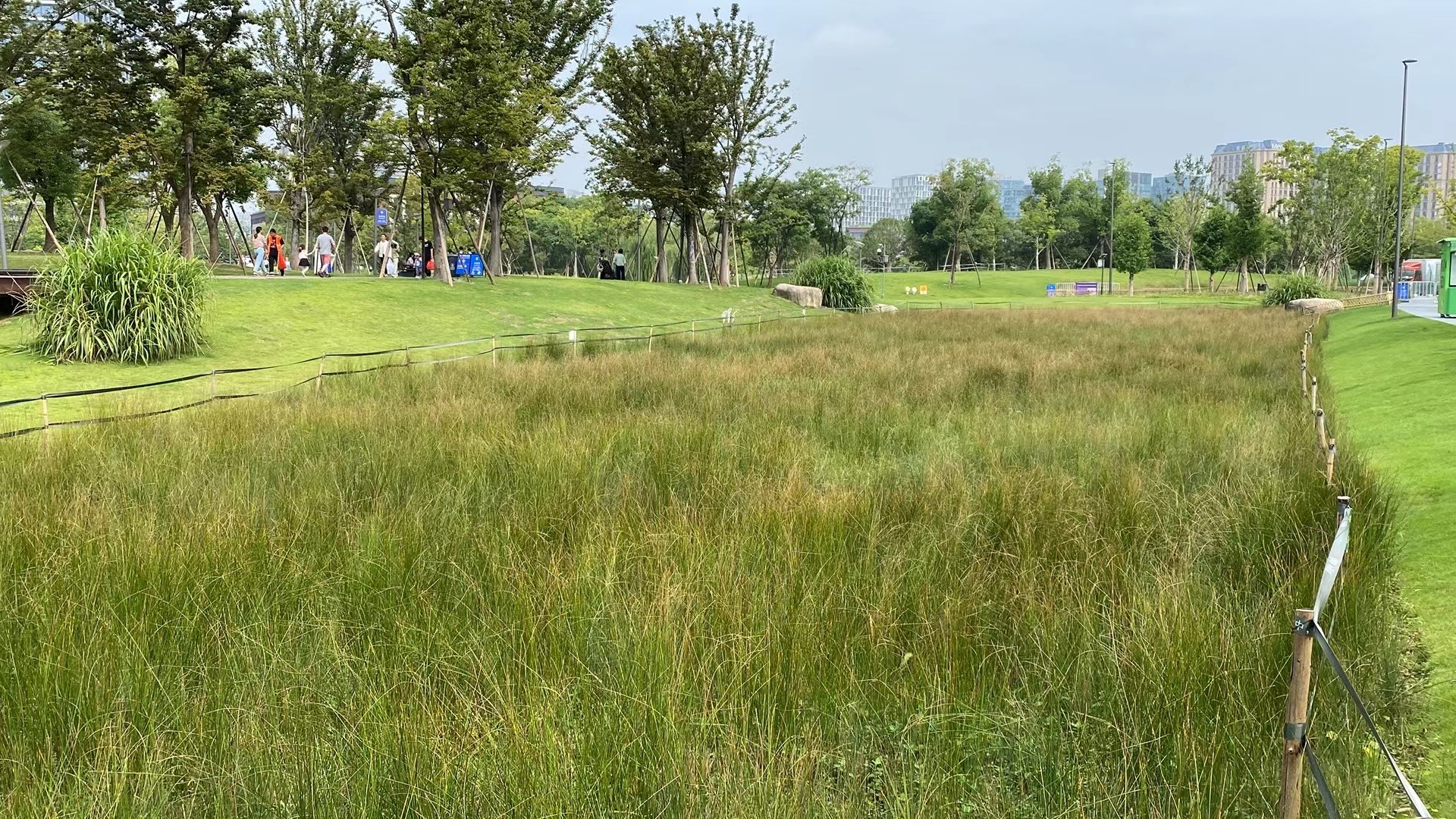 运河亚运公园 (拱墅区运河体育公园)丨中国杭州丨景观概念AECOM,景观深化杭州园林设计院等多家-51