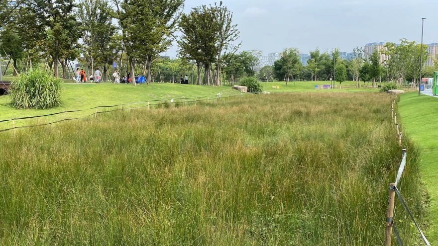 运河亚运公园 (拱墅区运河体育公园)丨中国杭州丨景观概念AECOM,景观深化杭州园林设计院等多家-51