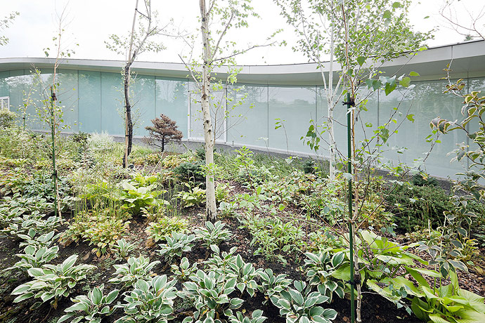 轻井泽千住博美術館丨日本丨西泽立卫-18