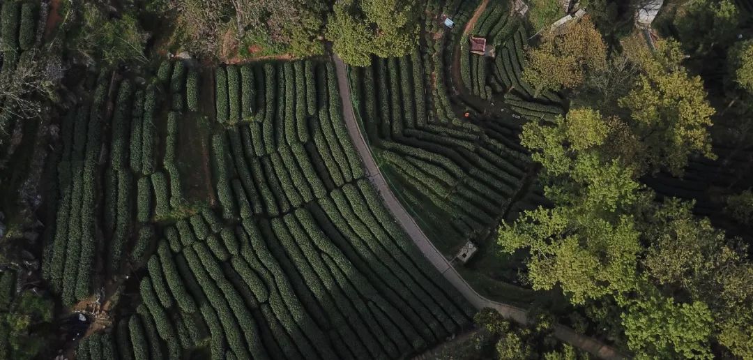 无界西溪茶室 | 传统与现代共生的景观茶空间-12