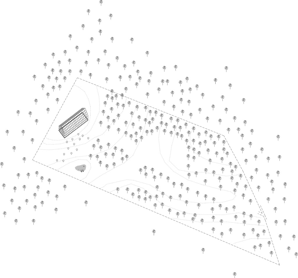 波兰绿意盎然的光之农场-14