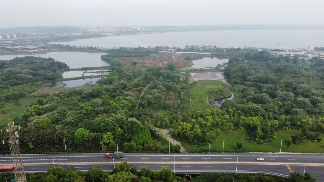 项目|山水诗境中的文化容器与数字化建构——九江市科技文化产业园-7