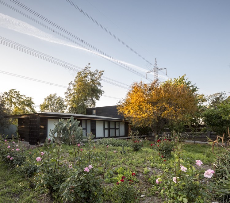 智利 Calera de Tango 市政教育公司体育馆设计-2