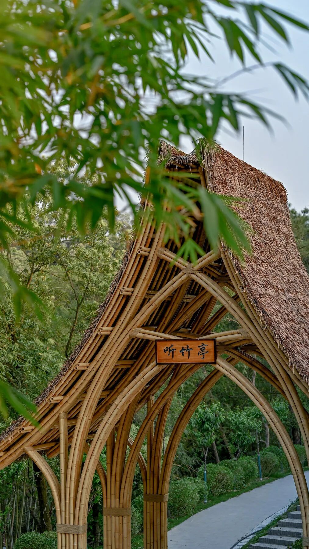 广宁竹海公园|构建绿美竹韵之路-53