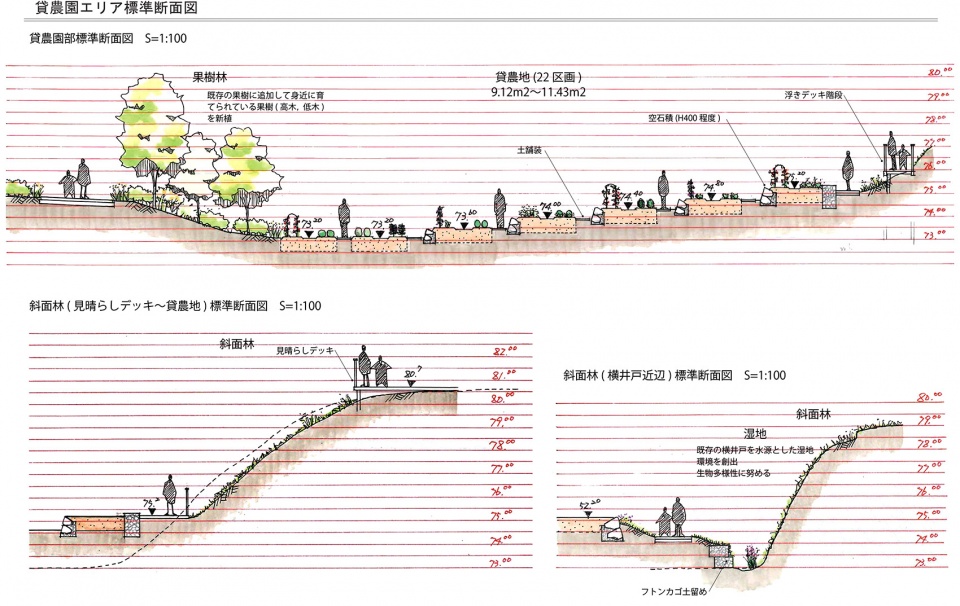 日本横滨南本宿第三公园农园设计丨株式会社户田芳树风景计画-40