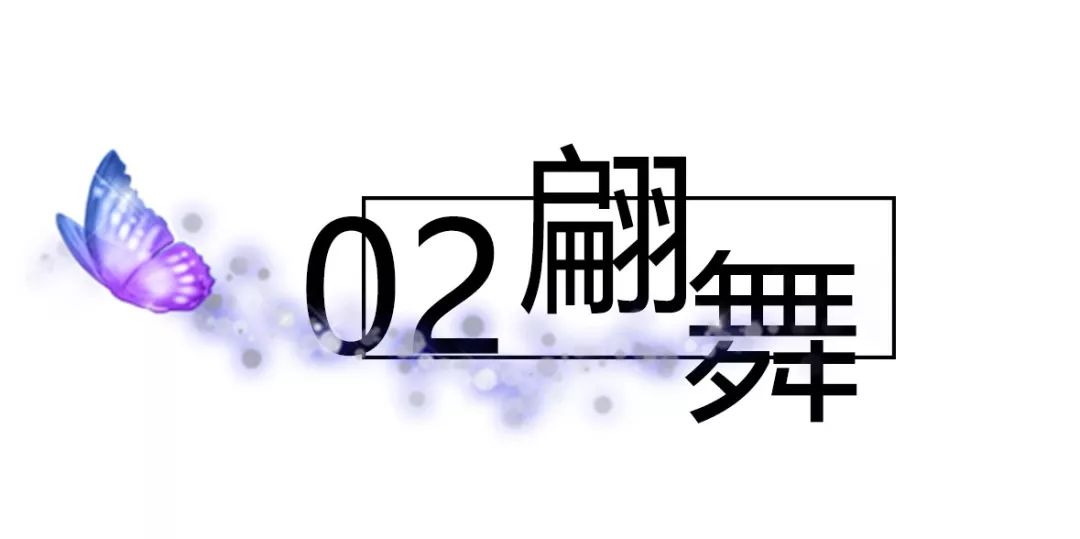 梦寻太湖畔,蝶舞雁栖湖-113