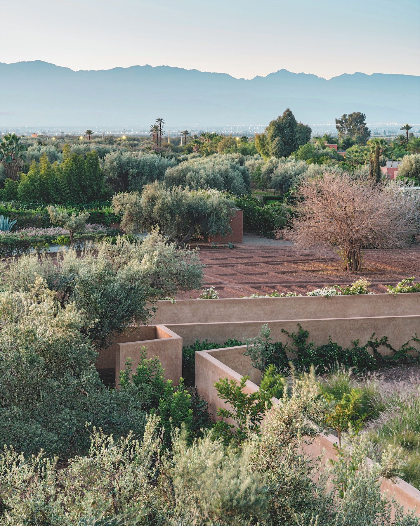 丨摩洛哥马拉喀什丨Hus工作室（Francesco Borromeo等）-9