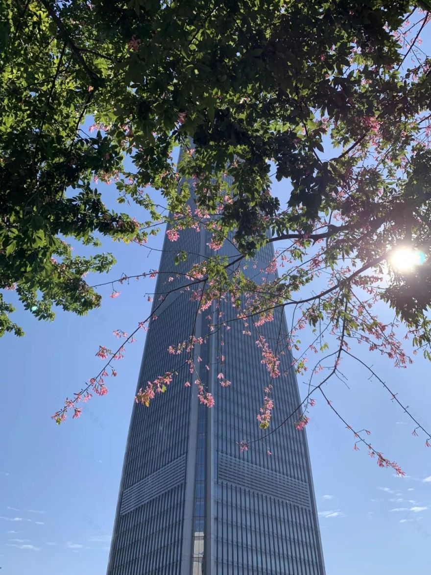 广州设计周盛宴,维上设计首席蓝玉维荣获金住奖-135