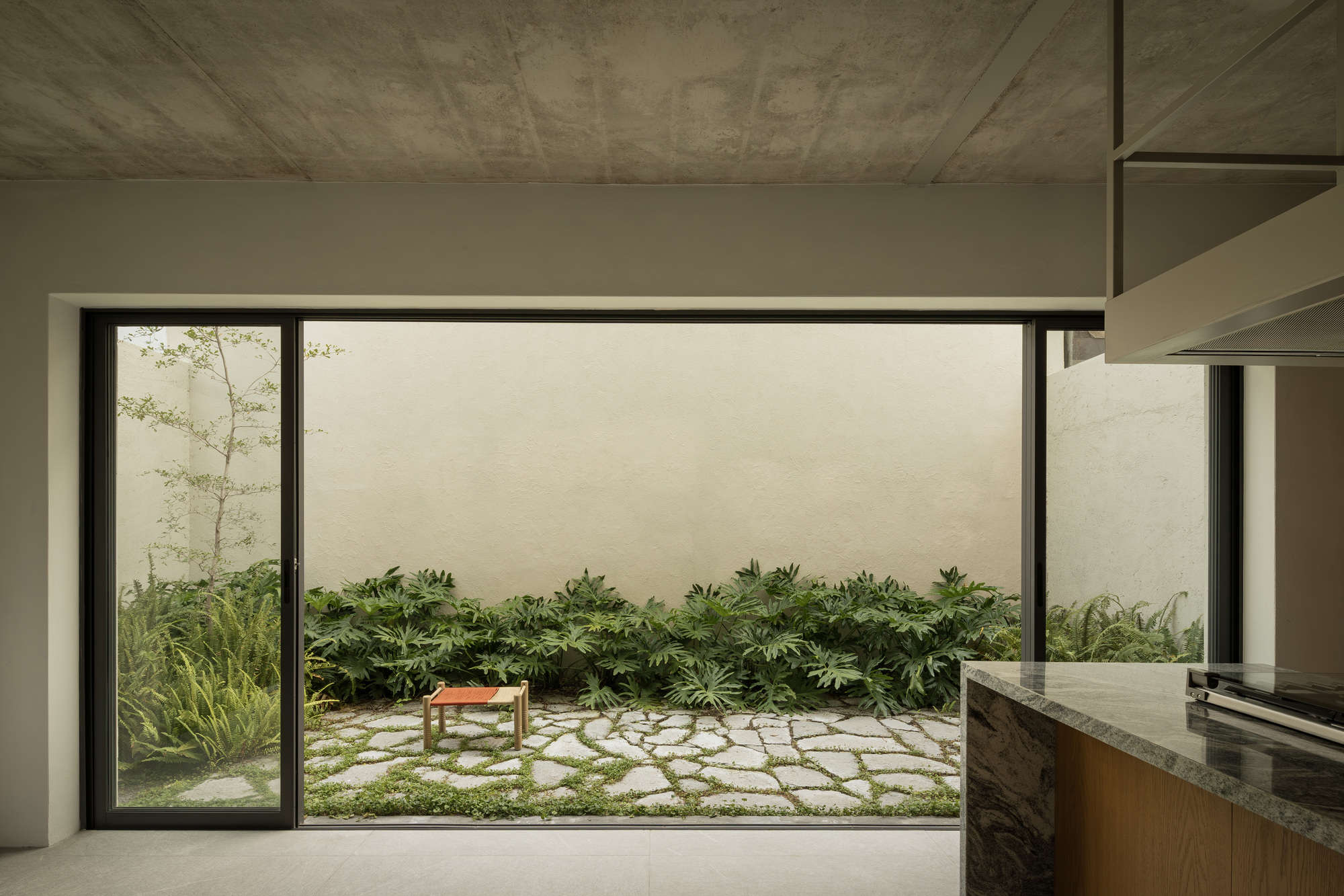 瓦拉塔森林别墅丨墨西哥丨Díaz Webster Arquitectura-10