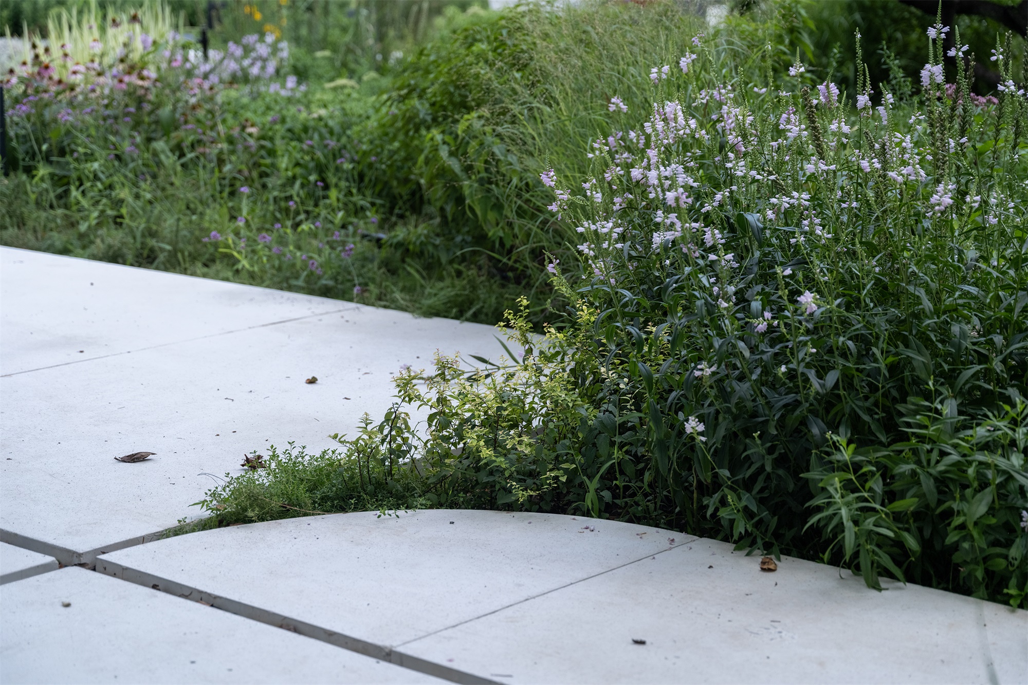 北京市三里屯西五街5号院花园丨中国北京丨OneScape一域景观事务所-89