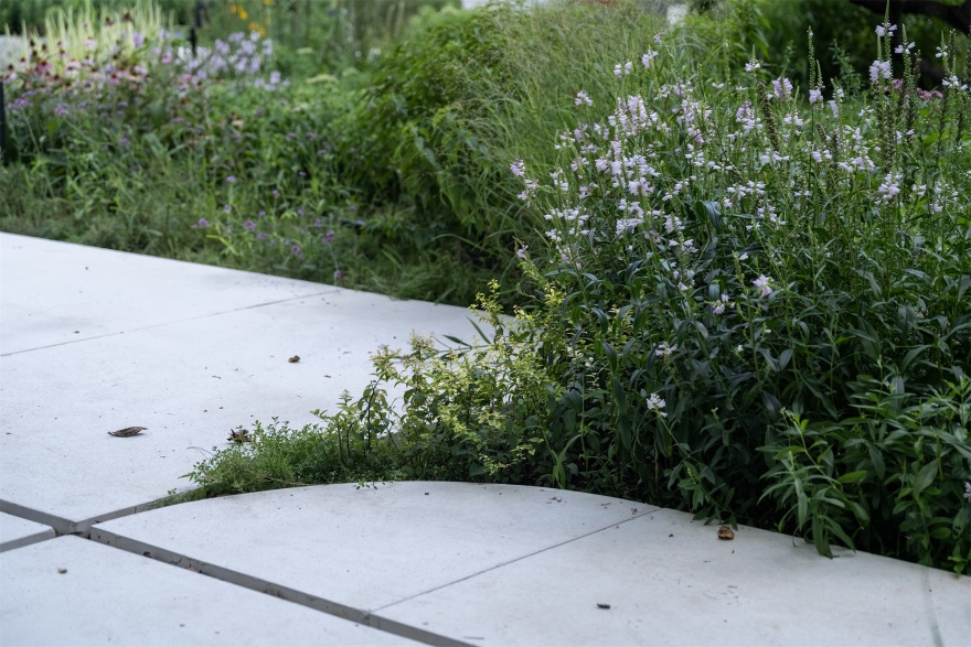 北京市三里屯西五街5号院花园丨中国北京丨OneScape一域景观事务所-89