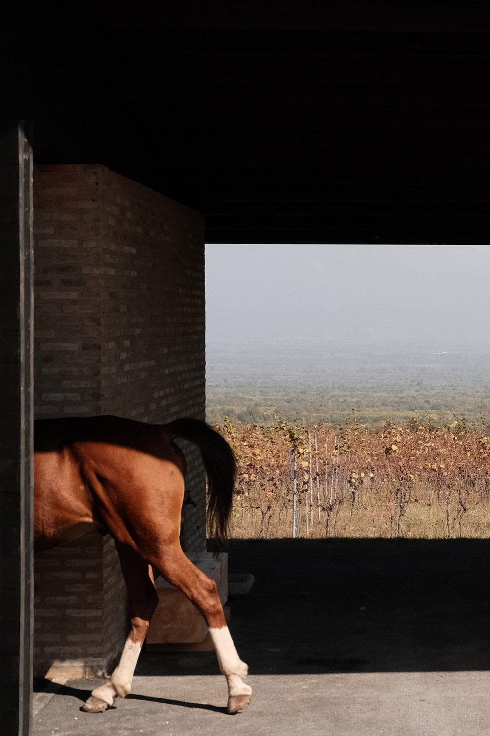 葡萄园马厩,格鲁吉亚丨Kera-47