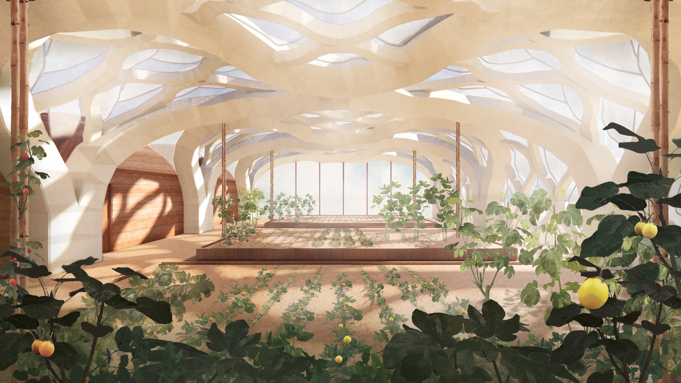 Eliza Hague 用竹子和壳胶设计可充气折纸式温室-0