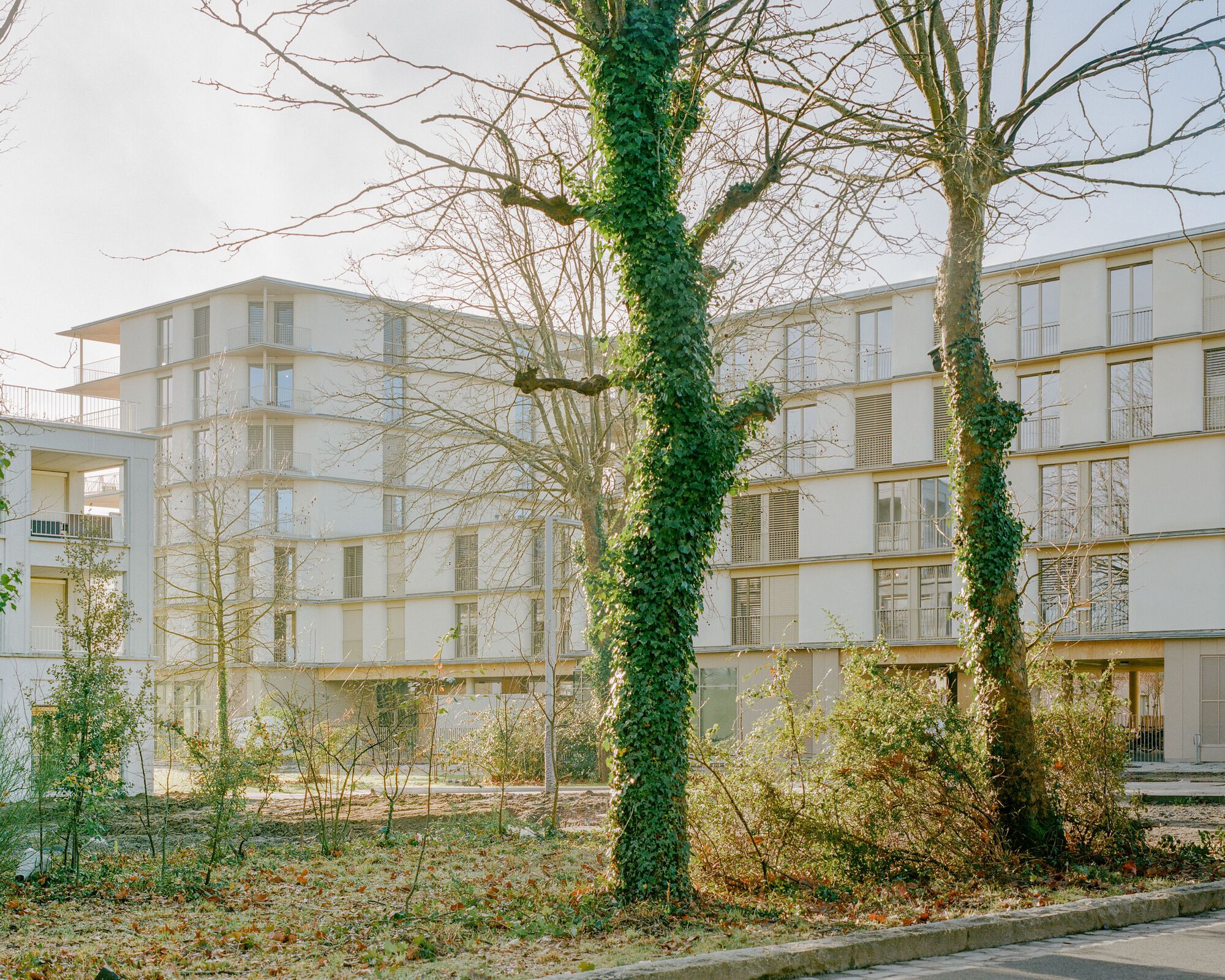 81套住房单元丨法国南特丨Ramdam Architectes,palast-37