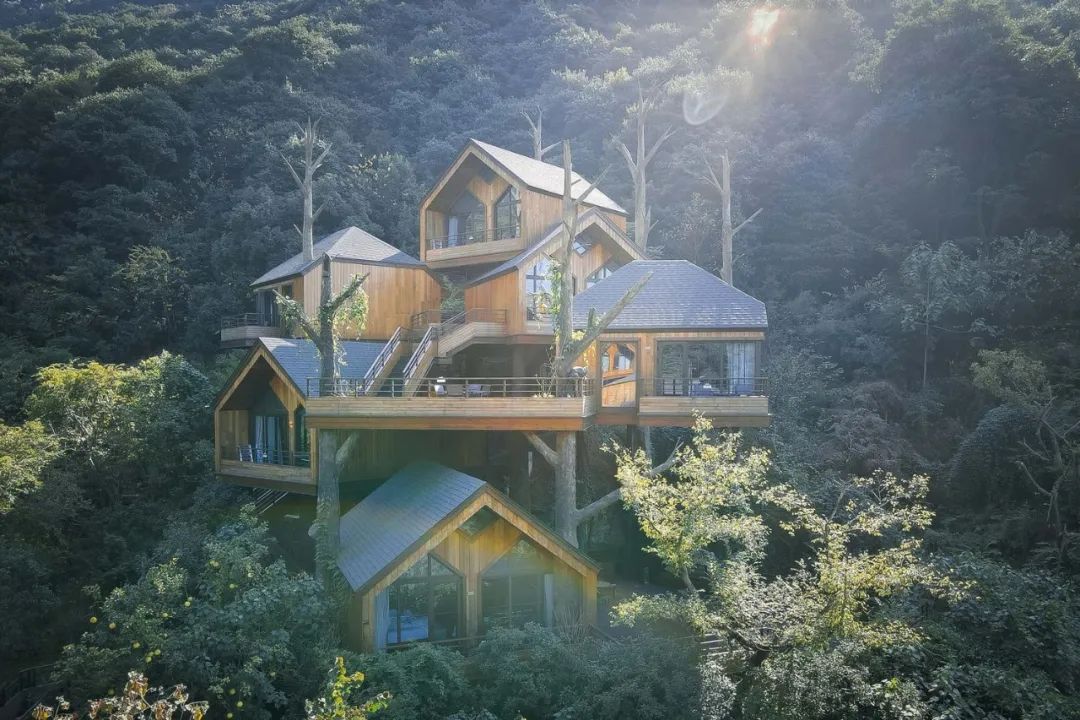 杭州森博度假村树屋丨中国杭州-19