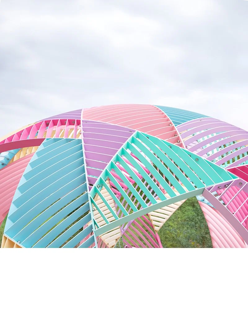 巴布尔·侯·德·索萨丨美国劳伦斯-6