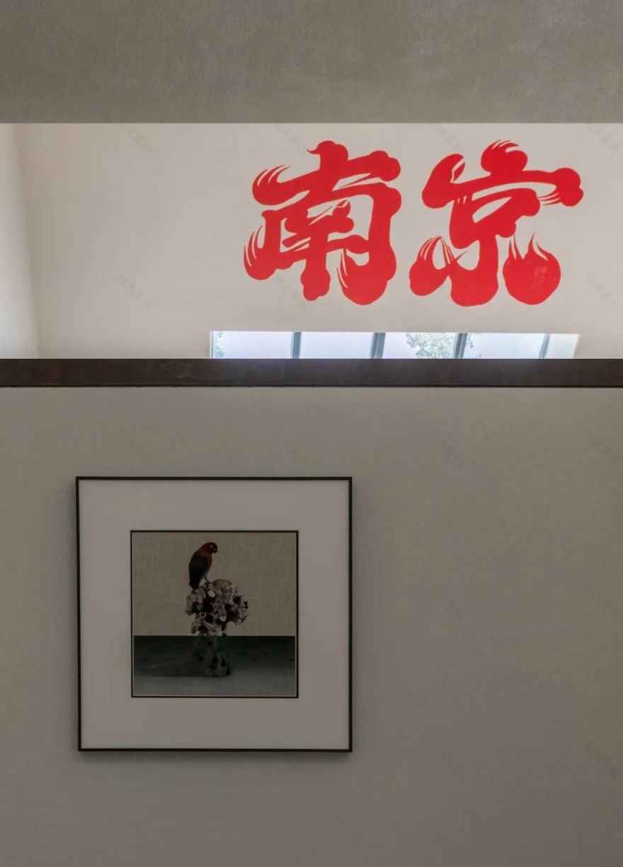 IN.X屋里门外-杨氏青龙虾-3