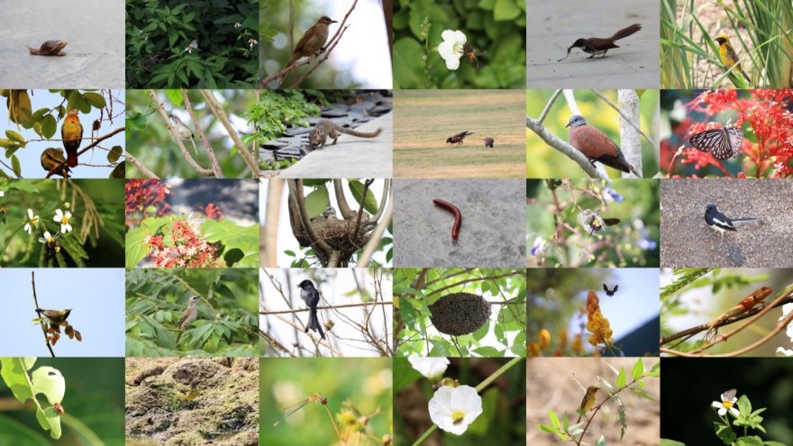 泰国森林别墅丨TK Studio-14