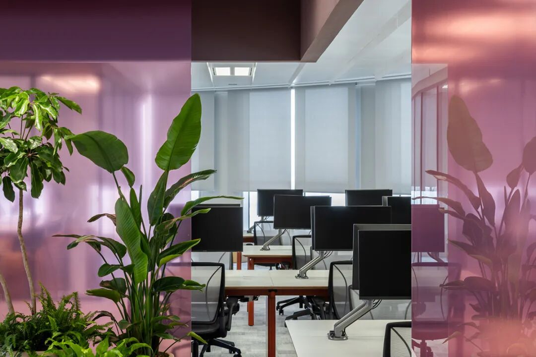 Publicis阳狮集团上海总部丨中国上海丨IFG伊波莱茨建筑设计-15