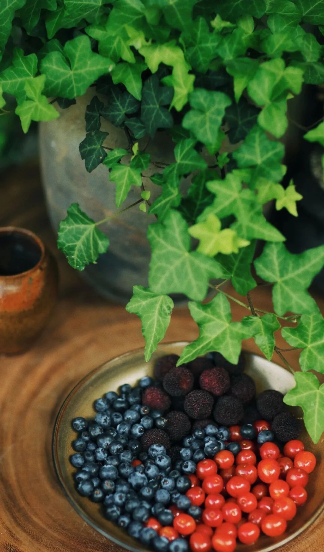 农村小院,生活的理想-29