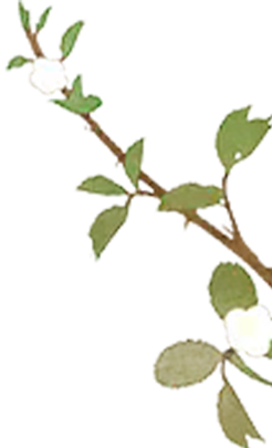 L-Acoustics&DiGiCo为中国国际出版交流中心提供“听得见的支撑”！-48