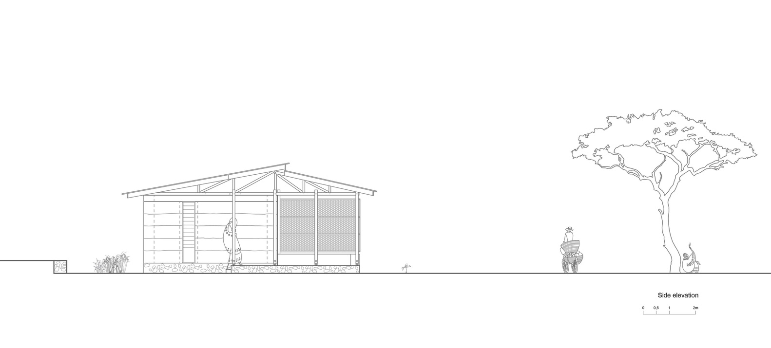阿马尼图书馆-51