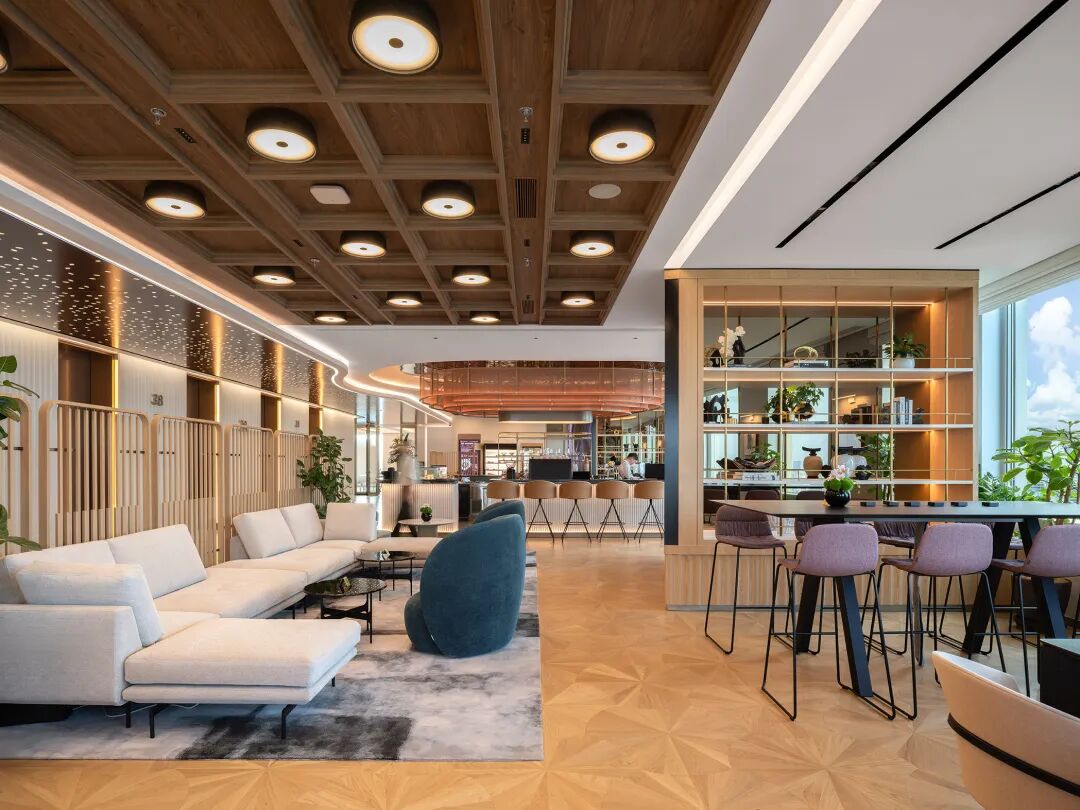 TERRA:WhereDesignMeetsWellbeing|TERRA空间：设计与健康的交汇点-4