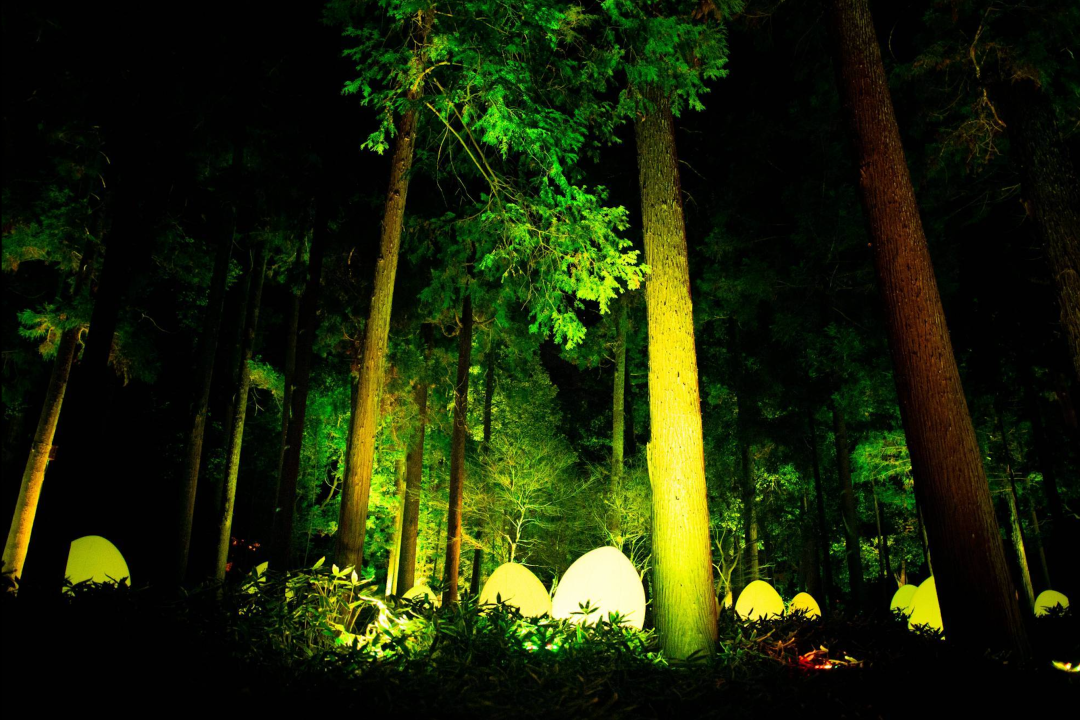 teamLab偕乐园光之祭丨日本-19