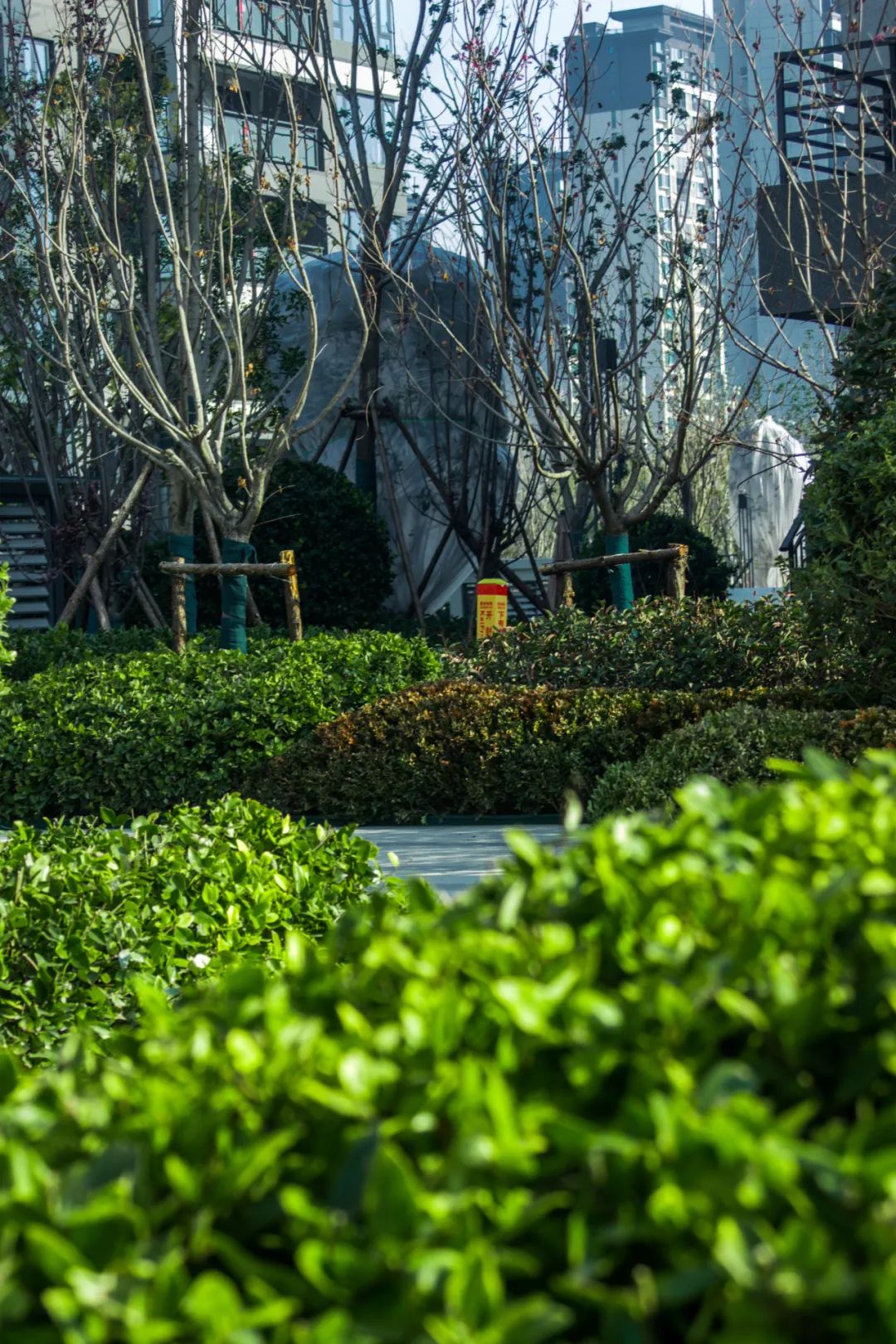 开封亚新·橄榄公馆丨中国开封丨东篱环境-28