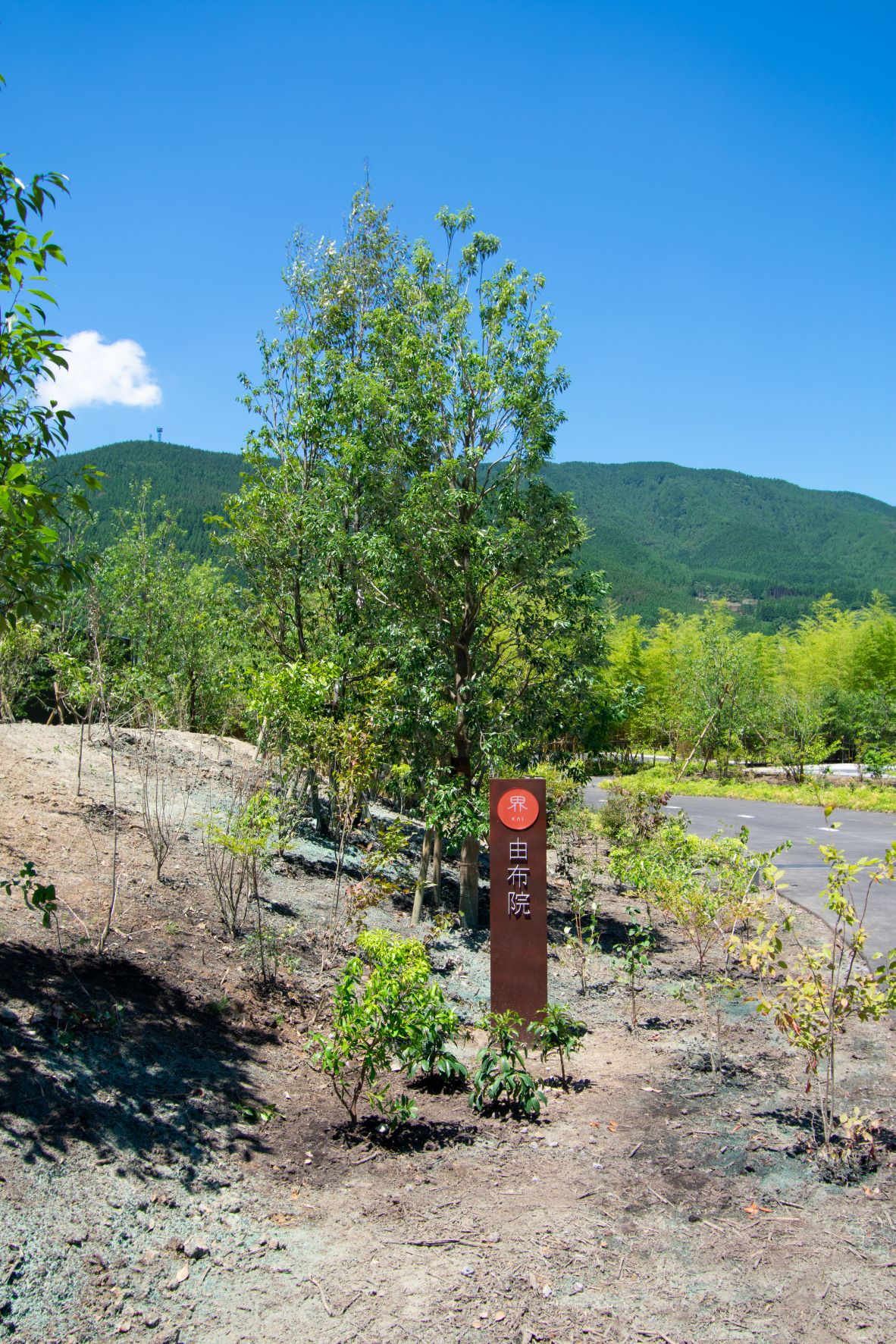 界·由布院丨日本丨隈研吾建筑都市设计事务所（kkaa）-155